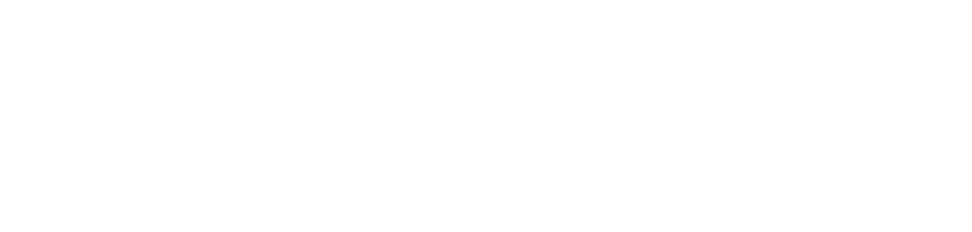 日本初、未知のアルゴリズム解析